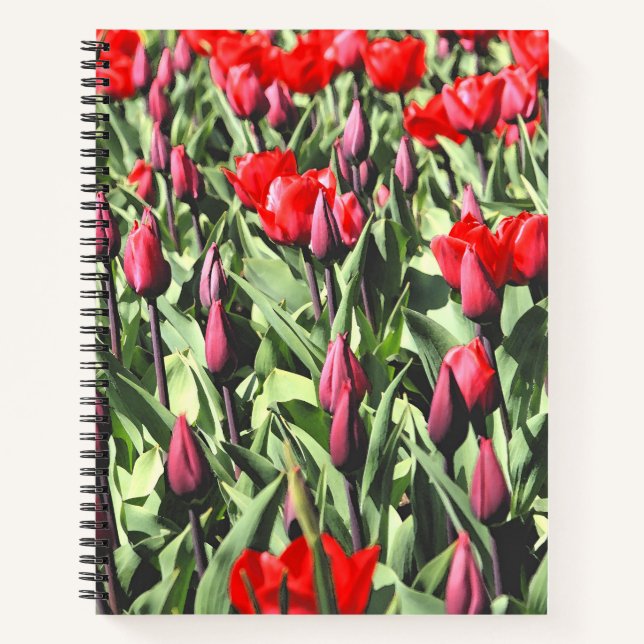 Red tulips notebook (Front)