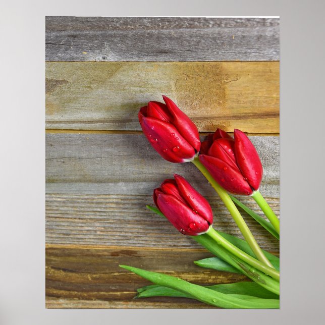 red tulips of rustic wood poster (Front)