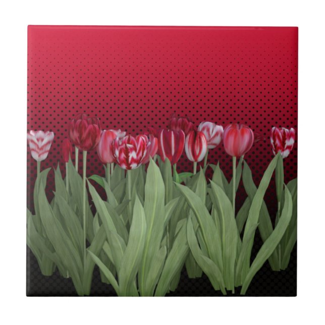 Red Tulips on Gradient Ceramic Tile (Front)