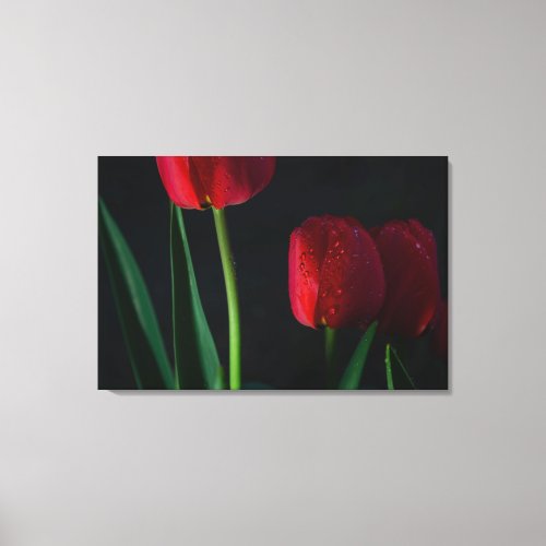 Red Tulips Wrapped Canvas