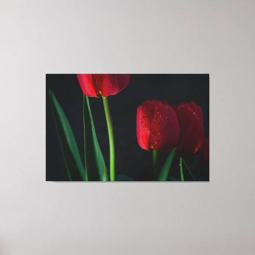 Red Tulips Wrapped Canvas