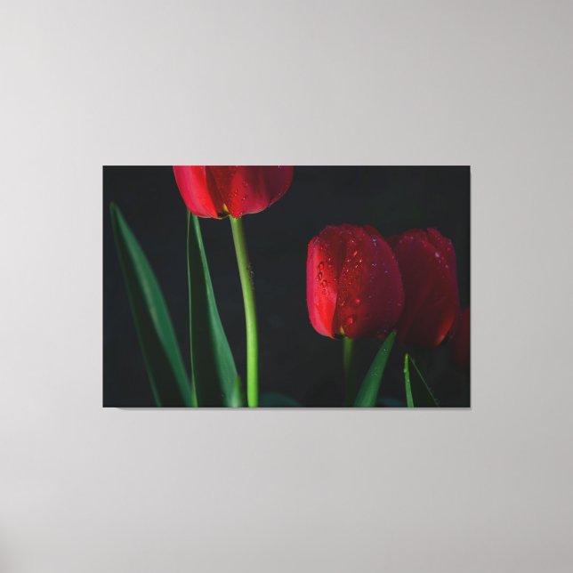 Red Tulips Wrapped Canvas Print (Front)