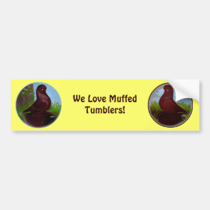 Red Tumbler Pigeon Circle Bumper Sticker