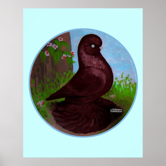 Red Tumbler Pigeon Circle Poster (Front)