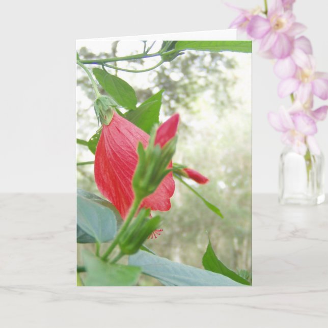 Red Turk's Cap Flower and Green Foliage Card (Orchid)