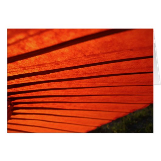 Red Umbrella Cards (Front Horizontal)