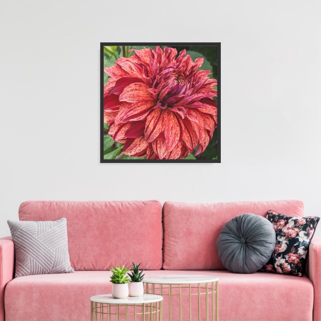 Red Variegated Dahlia Bloom Floral Canvas Print (Insitu(LivingRoom))