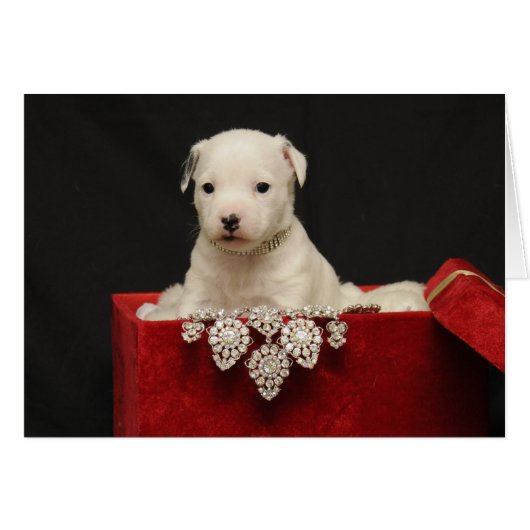 Red Velvet (Front Horizontal)