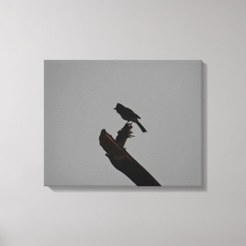 Red_vented Bulbul in Silhouette Stylish Photograph Canvas Print