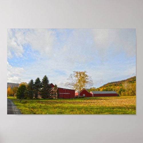 Red Vermont Barns in Autumn Poster