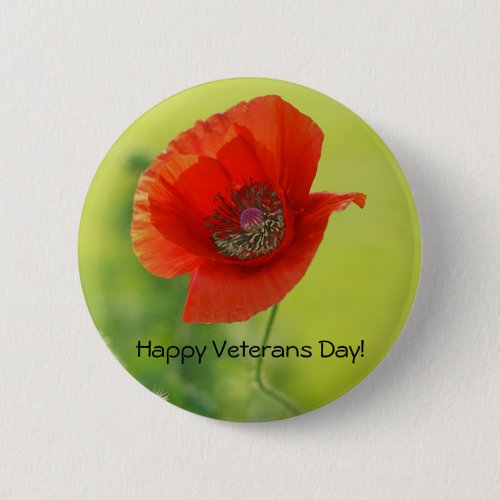 Red Veterans Day Poppy Pin Back Button