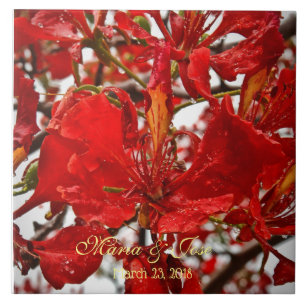 Red Vibrant Flamboyant Flower Wedding Ceramic Tile