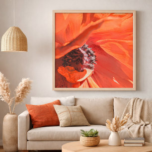 Red Vibrant Poppy Flower Photography by Meggidoo Poster