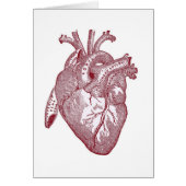 Red Vintage Anatomical Heart (Front)