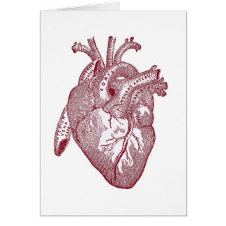 Red Vintage Anatomical Heart Cards