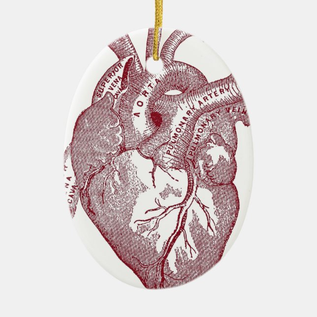 Red Vintage Anatomical Heart Ceramic Ornament (Front)