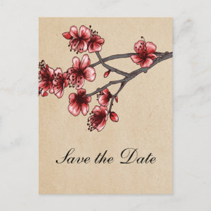 Red Vintage Cherry Blossoms Save the Date Announcement Postcard