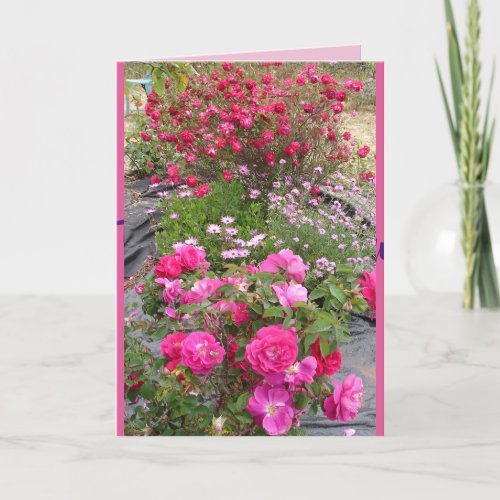 Red Vintage Roses Rose Garden flowers Card