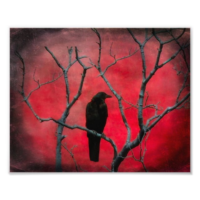 Red Vision Photo Print (Front)