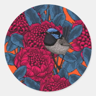 Red waratah and fairy wrens classic round sticker