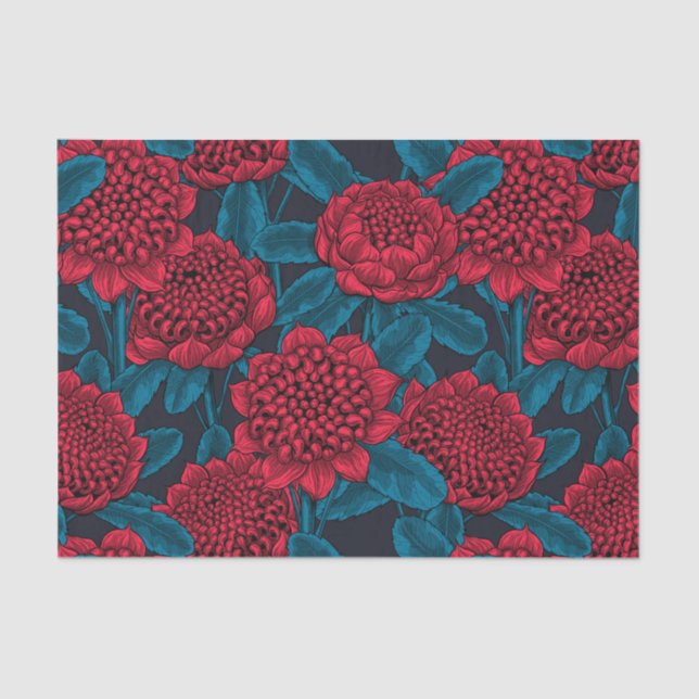 Red waratah flowers tissue paper (Front)