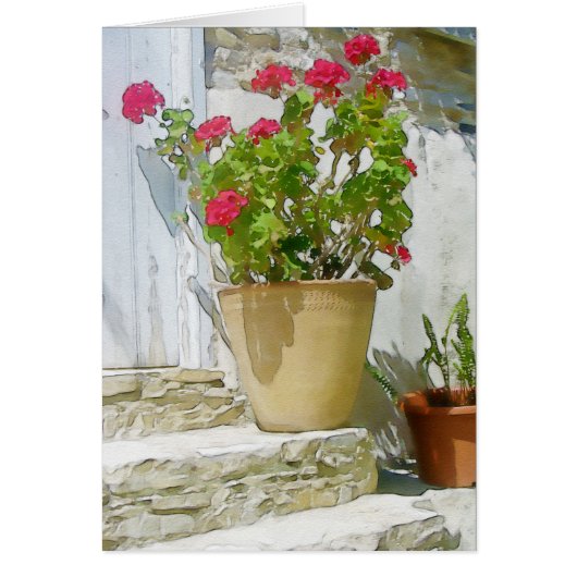 Red watercolor geranium cards (Front)
