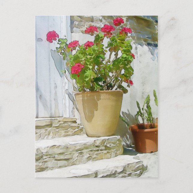Red watercolor geranium postcard (Front)