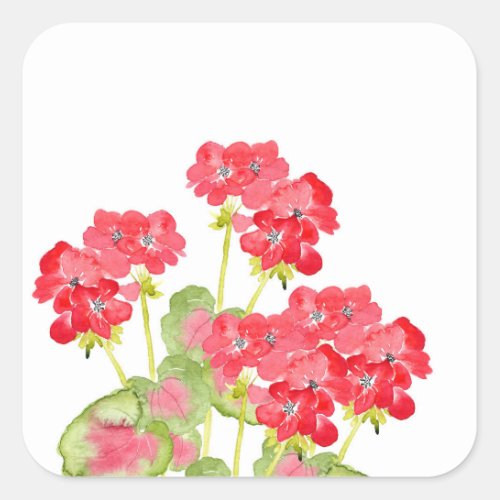 Red Watercolor Geraniums 2 Square Sticker