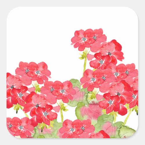 Red Watercolor Geraniums Square Sticker