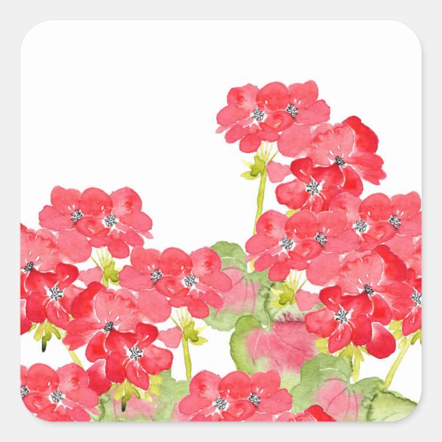 Red Watercolor Geraniums Square Sticker (Front)