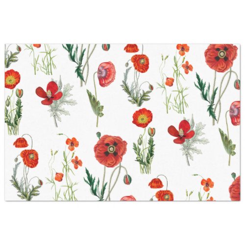 Red Watercolor Poppies Florals Tissue Paper