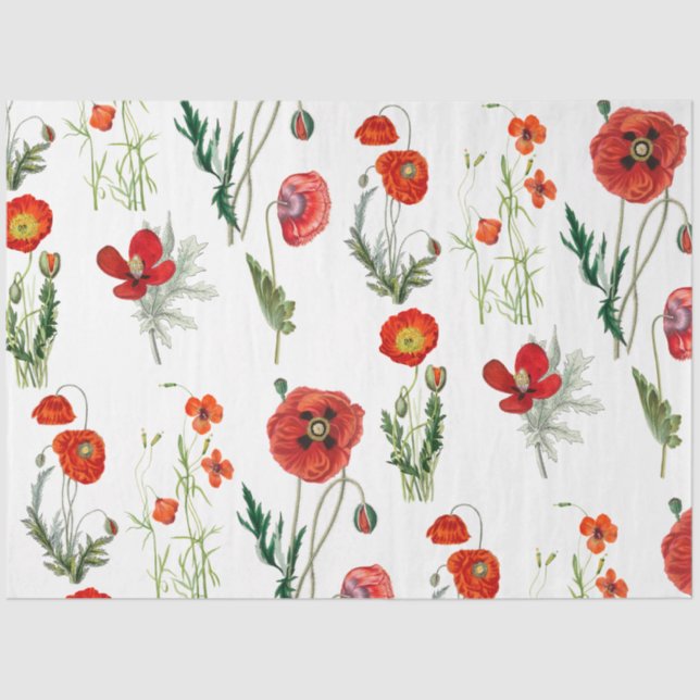 Red Watercolor Poppies Florals Tissue Paper (Front)