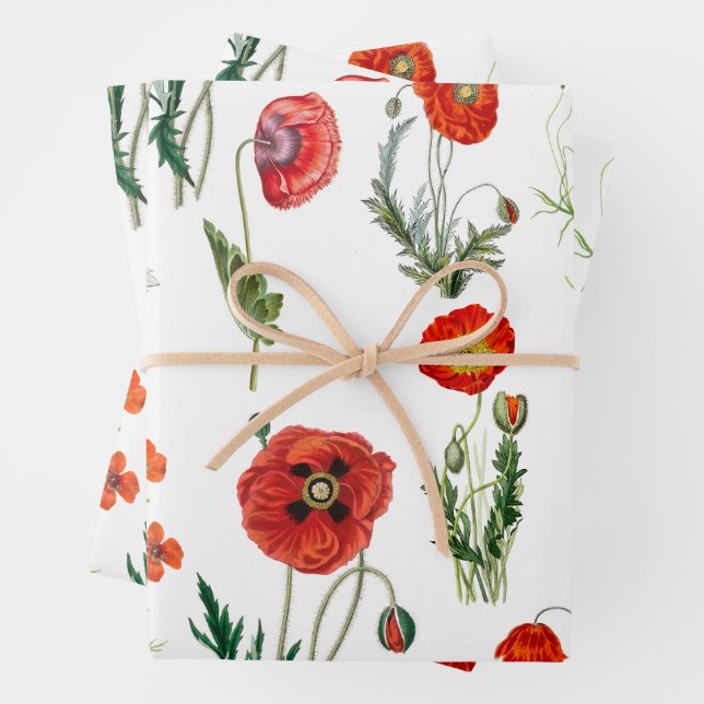 Red Watercolor Poppies Florals Wrapping Paper Sheets (In situ)