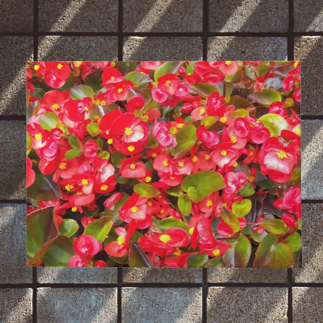 Red Wax Begonias Floral Doormat (In Situ)
