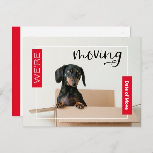 Red Were Moving Dachshund Dog in Box Postcard