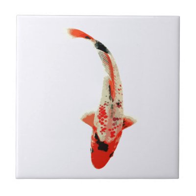 Anese Koi Pond Tile Zazzle