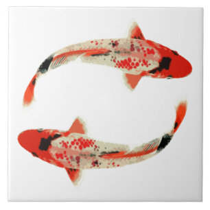 Red, White, and Black Koi Fish Tile