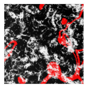 Red, White and Black Marble Abstract Acrylic Print