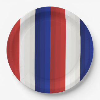 Red White and Blue Patriotic Gradient Stripes Paper Plates