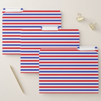 Red, White and Blue Stripes File Folder
