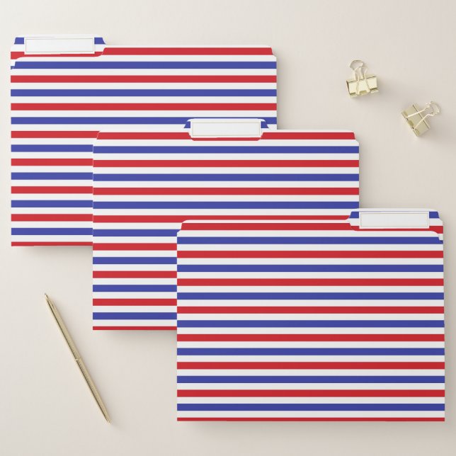Red, White and Blue Stripes File Folder (Set)
