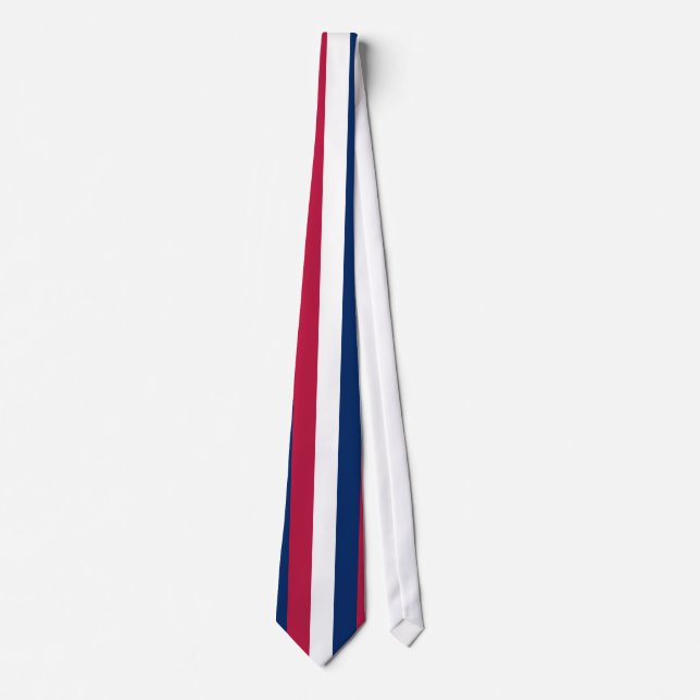 Red White and Blue Vertical Stripes Neck Tie (Front)