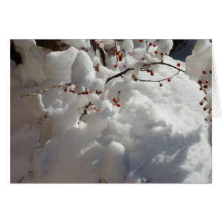 Red, White and Cold Cards