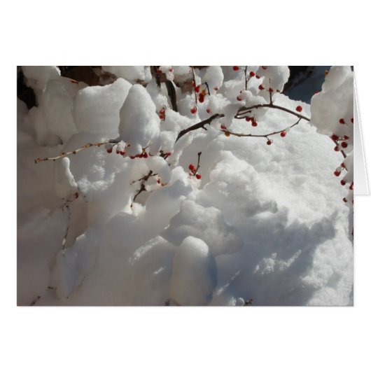 Red, White and Cold Cards (Front Horizontal)