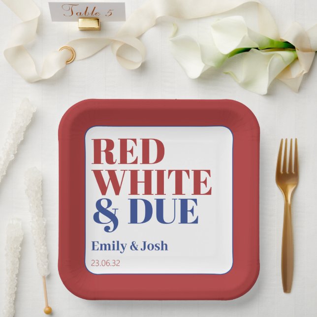 Red White and Due 4th July USA Flag Baby Shower  Paper Plates (Wedding)