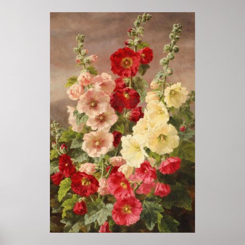 Red white and pink hollyhocks Christensen Poster