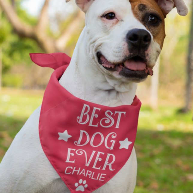 Red White Best Pet Dog Ever Funny  Bandana (Best Dog Ever Red Bandana)