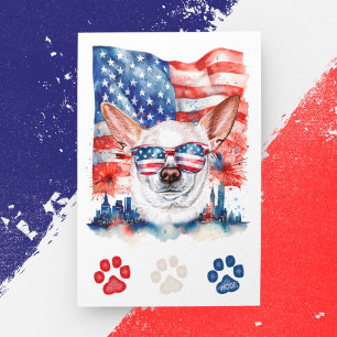 Red White Blue Chihuahua Dog American 4th of July Holiday Postcard