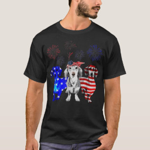Red White Blue Dachshund USA Flag Firework 4th Of  T-Shirt
