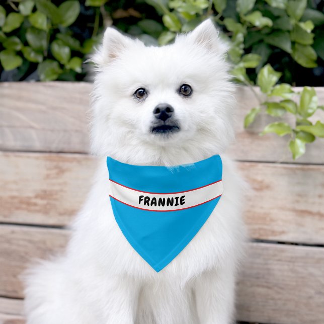 Red White Blue Name Pet Bandana Collar (Dog)